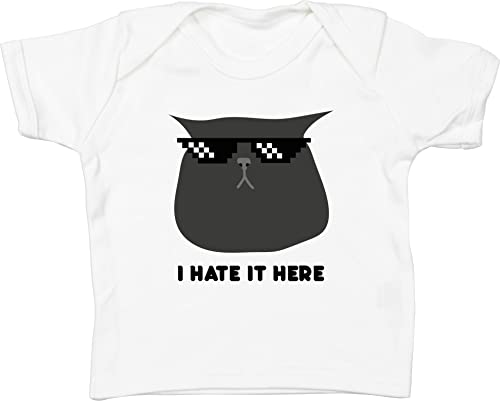 https://m.media-amazon.com/images/I/31TTAb2u9BL._SS64_.jpg