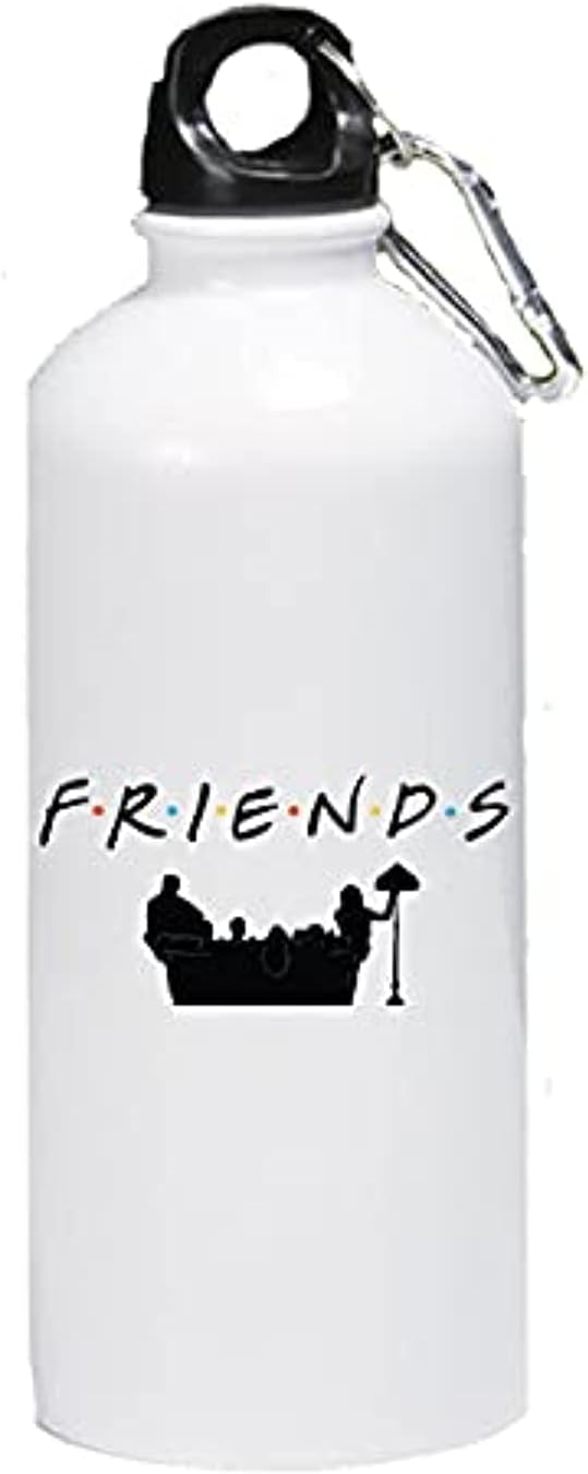 Other Friend Series Thermal Water Bottle - Stainless Steel, 1 Count, Insulated, Reusable, Modern, Round, Movies, Running, Walking, Hydration, Insulated Beverage Storage