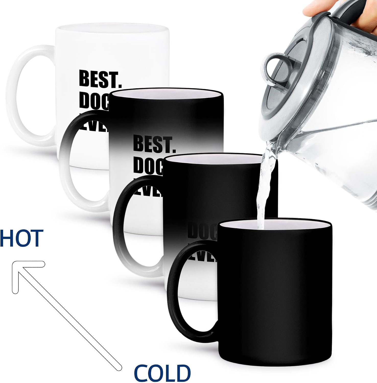 3dRose Mug_179775_3 Best Doctor Ever-Fun Job Pride Gift for GPS Specialist DRS and PhDs, Ceramic, Black/White