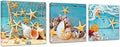 لوحة فنية جدارية ساحلية ياتهوي من 3 لوحات مطبوعة على قماش بطبعة جيكلي بتصميم مناظر بحرية ونجوم البحر وقذائف البحر على الشاطئ لتزيين الحمام والمطبخ جاهزة للتعليق مقاس 12 × 12 بوصة