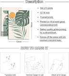 Boho Wall Art Set of 3 Mid Century Modern Wall Decor Abstract Geometric Prints Black Green Plant Sun Natural Framed Canvas Prints Artwork Ready To Hang for Living Room Bathroom Bedroom 12x16inch
