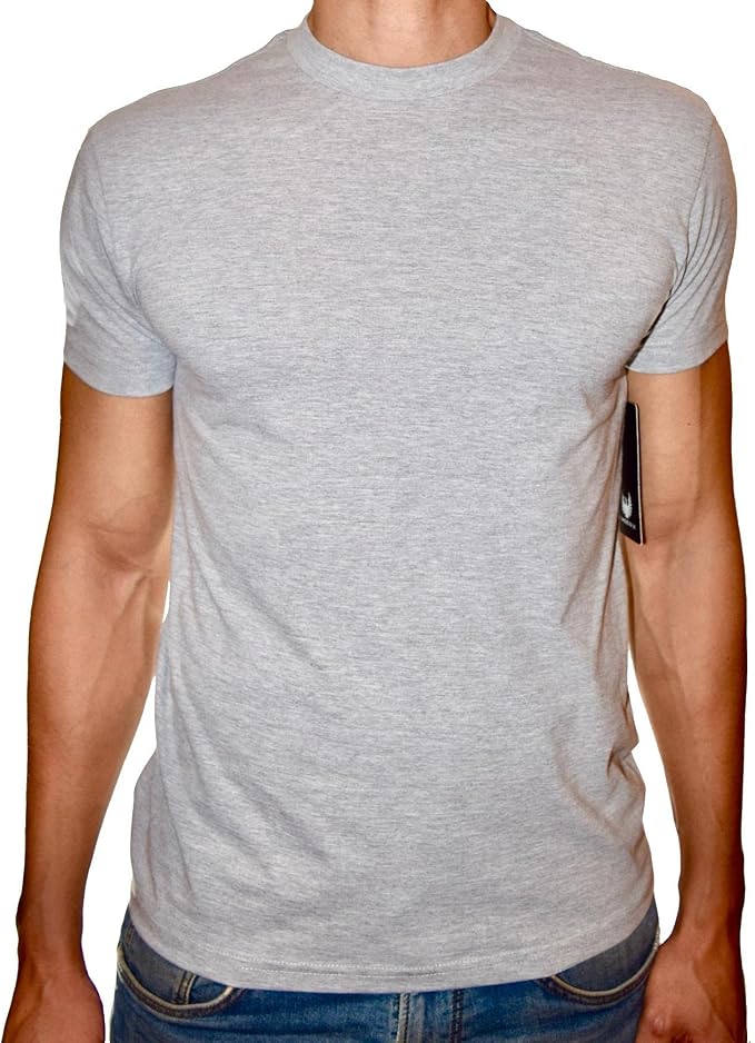 PHOENIX Grey Round Neck T-Shirt For Men